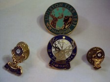 Elks lodge pins for sale  Tewksbury