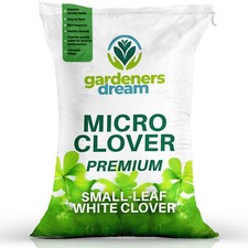 Micro white clover for sale  UK