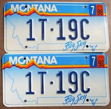 Montana 1998 license for sale  Kalispell