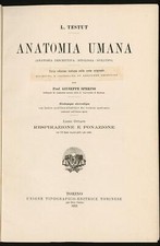 Anatomia umana vol usato  Gavirate