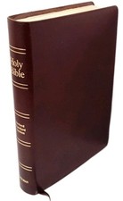 Holman holy bible for sale  Golden
