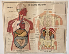 Ancien carte scolaire d'occasion  Salignac-Eyvigues