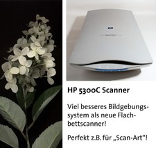 Usb scanjet 5300c gebraucht kaufen  Neustadt an der Weinstraße