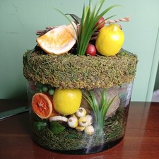 Fruit floral arrangement for sale  Taft