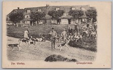 Groombridge kent fox for sale  GLASGOW