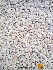 Perlite pflanzen zur gebraucht kaufen  Hannover