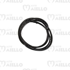 Guarnizione parabrezza ligier usato Guarnizione parabrezza ligier usato  Aversa