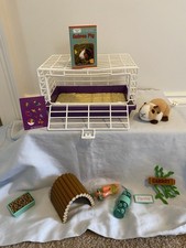 american guinea hog pigs for sale american guinea hog pigs for sale Plainville