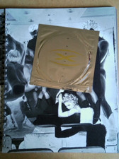 Sex madonna livre d'occasion  Saint-Mihiel