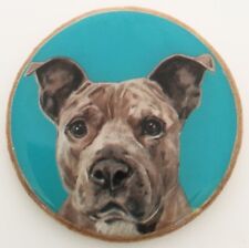 Pit bull terrier for sale  Encinitas
