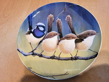Maxwell williams birds for sale  THORNTON-CLEVELEYS