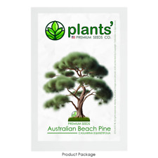 Australian beach pine for sale  Claremont