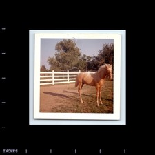 Square color photo for sale  Grass Valley