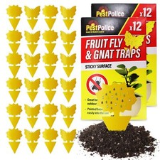 48pk sticky fruit for sale  LEEDS