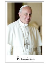 Papst franziskus autogramm gebraucht kaufen  Kassel
