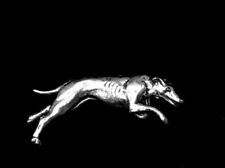 Greyhound whippet silver for sale  SHEFFIELD