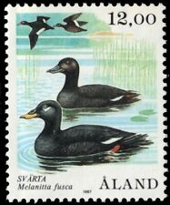 ALAND ISLAND 21 - Patos scoter de veludo "Melanitta fusca" (pb17722) comprar usado  Enviando para Brazil