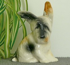 Ancien chien terrier d'occasion  France