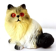 Himalayan cat gatto usato  Genova