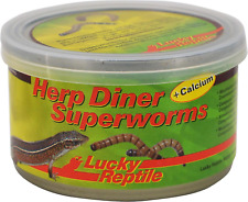 Herp diner superworms usato  Italia