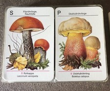 Ddr kartenspiel pilze gebraucht kaufen  Pockau