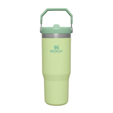 Stanley iceflow borraccia usato  Roccagloriosa