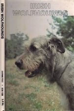 Irish wolfhounds beverly for sale  UK