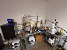 Lab society executive for sale  Longmont