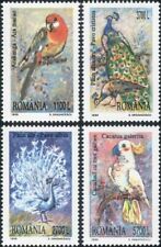 Romania 1999 pavone usato  Italia