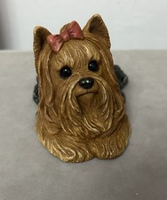 Sandicast yorkie yorkshire for sale Sandicast yorkie yorkshire for sale  HERNE BAY
