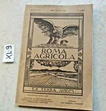 Libro rivista roma usato  Paterno