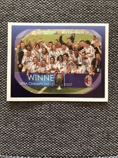 Figurina panini champions usato  Lodi