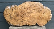 Big wood burl for sale  Greenwood