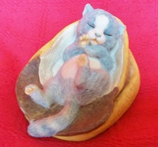 Aynsley sleeping kitten for sale  MILTON KEYNES