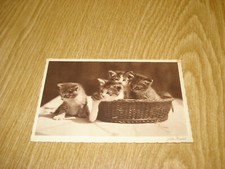 Me3822 ansichtskarte katzen gebraucht kaufen  Donzdorf