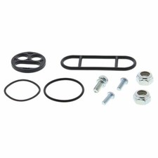 Kit revisione rubinetto usato  Italia