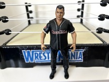 Wwe shane mcmahon for sale  NUNEATON