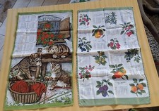 Strofinacci anni 1979 usato  Genova