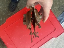 Mantis tiller planting for sale  IPSWICH