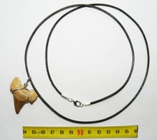 Collier pendentif dent d'occasion  France