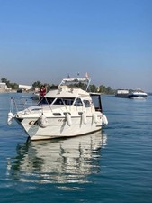 Motoryacht sealine 305 gebraucht kaufen  Weil am Rhein
