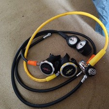 Northern diver hydra for sale  EXETER
