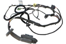 Kabelsatz tür bmw gebraucht kaufen  Bönen