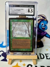 Magic mtg fog usato  Lucca