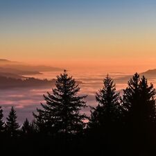 Hotelgutschein schwarzwald gü gebraucht kaufen  Hamburg