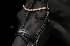 Trense belfast equine gebraucht kaufen  Iggingen