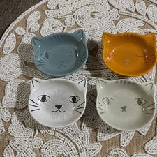 Multi color cat for sale  Spanaway