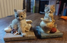 Cute cats country for sale  BURNLEY