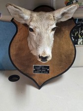 Vintage 1972 georgia for sale  Jasper