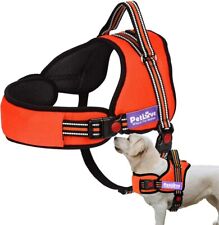Pet love dog for sale  BRISTOL